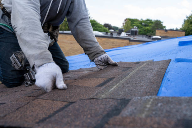 Best Storm Damage Roof Repair  in Newbern, TN