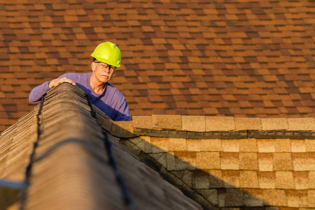 Best Roof Leak Repair  in Newbern, TN