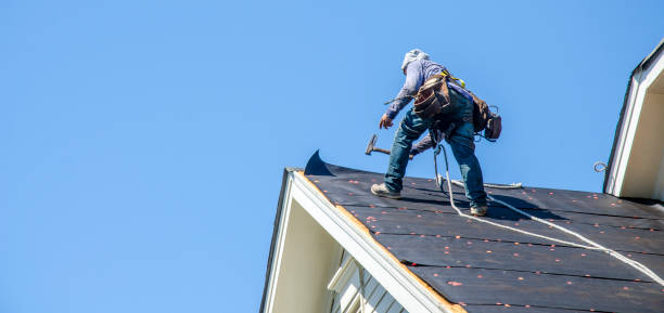 Best Storm Damage Roof Repair  in Newbern, TN